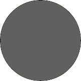 Charcoal Gray