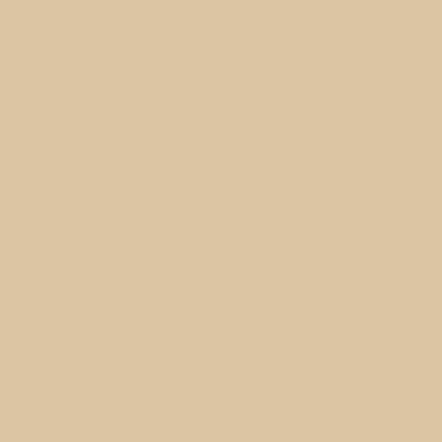 Entrydoor Paint Beige