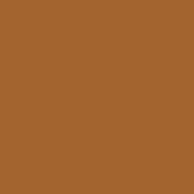 Entrydoor Paint Butterscotch