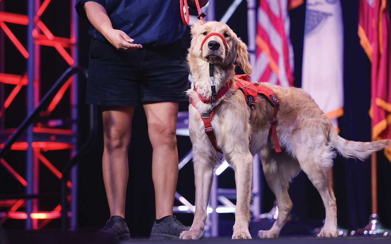 Service Dog